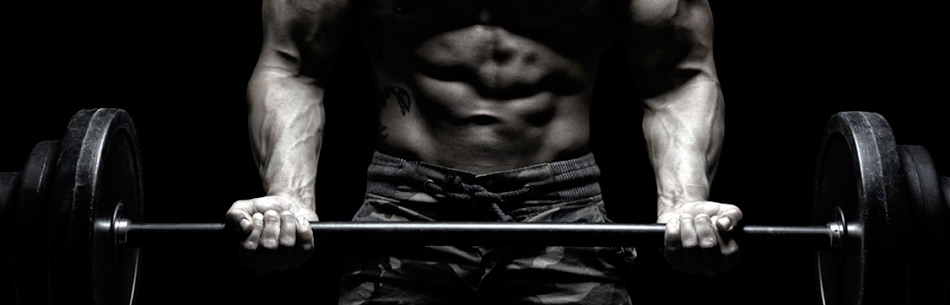 Integratori: the “muscle builder” supplements parte 2