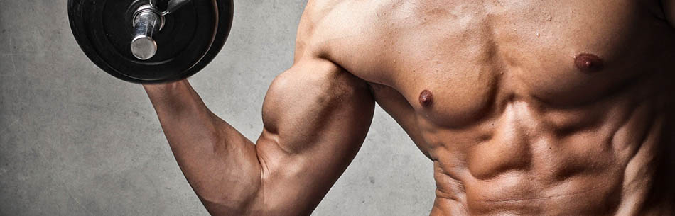 Focus sugli integratori: the “muscle builder” supplements part 3