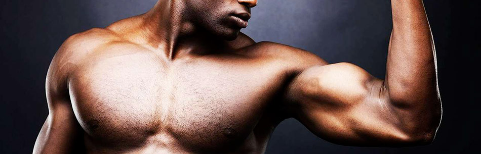 Il body building: movimento o allenamento?