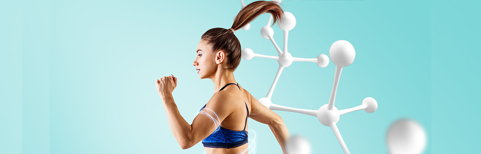 Molte diete sottovalutano il fatto che, non appena l’introduzione del cibo diminuisce, l’organismo rallenta e con esso anche funzione metabolica. Quali sono i fattori che possono causare un rallentamento del metabolismo? Continua a leggere per saperne di più. Distribuzione metabolica, attivazione e consumo