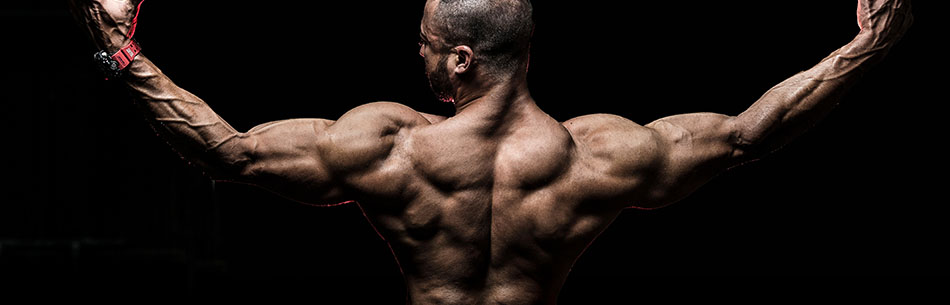 Periodizzazione e cicli nell'allenamento Body Building